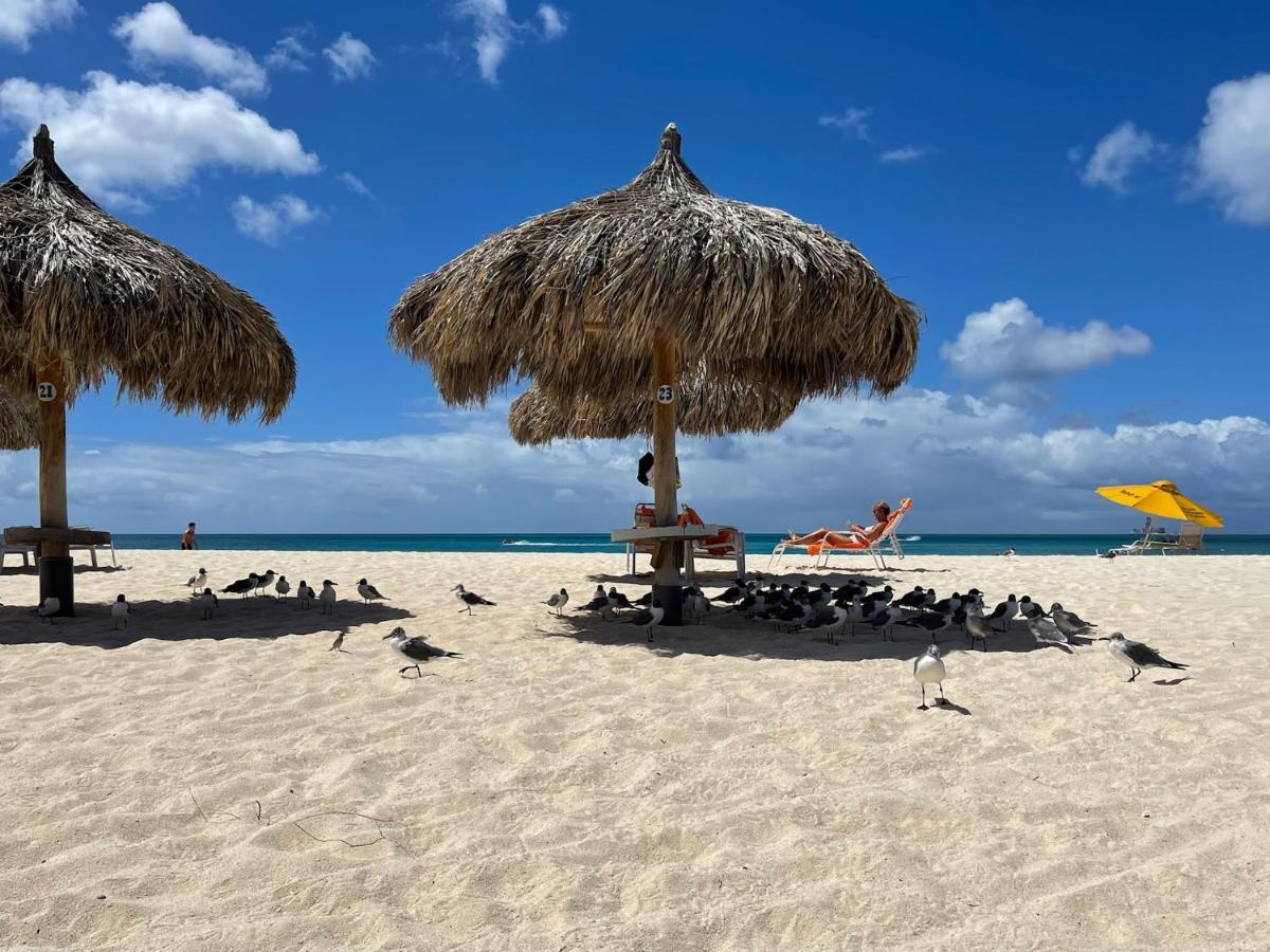 Luxury Ocean View Condo @ Aruba'S 棕榈滩 外观 照片