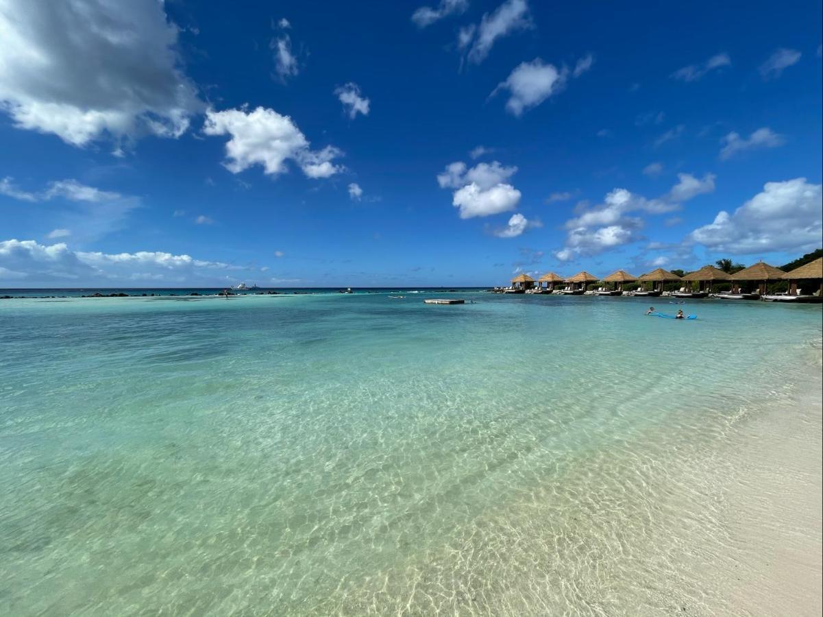 Luxury Ocean View Condo @ Aruba'S 棕榈滩 外观 照片